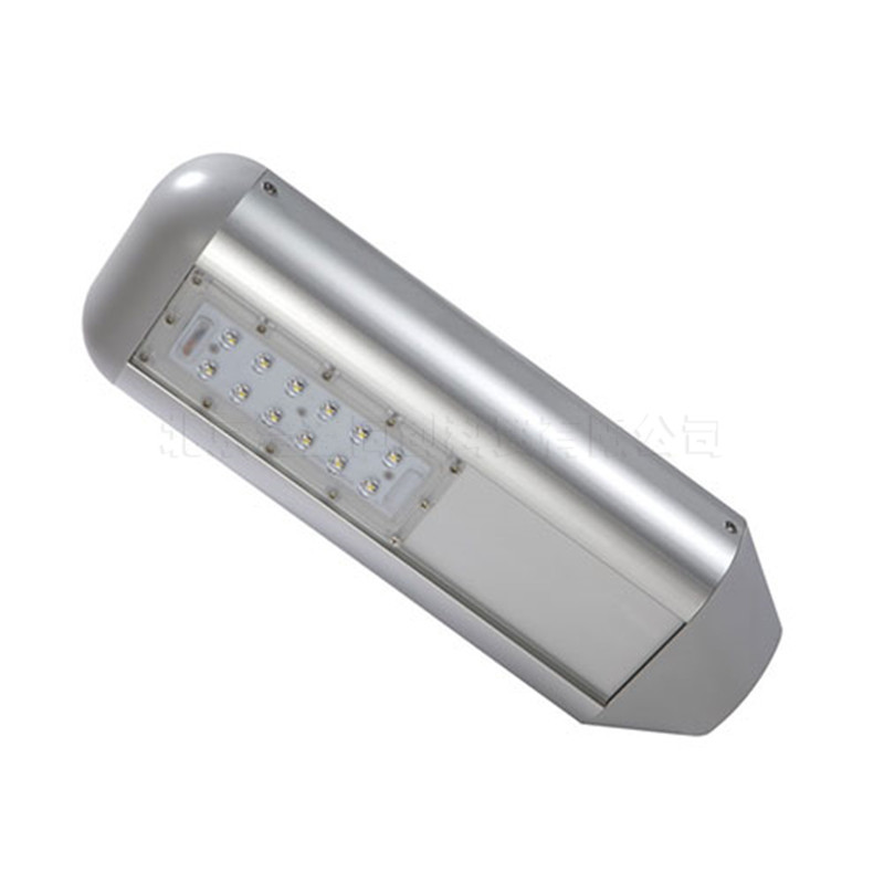 NRLED033 30W LED路灯